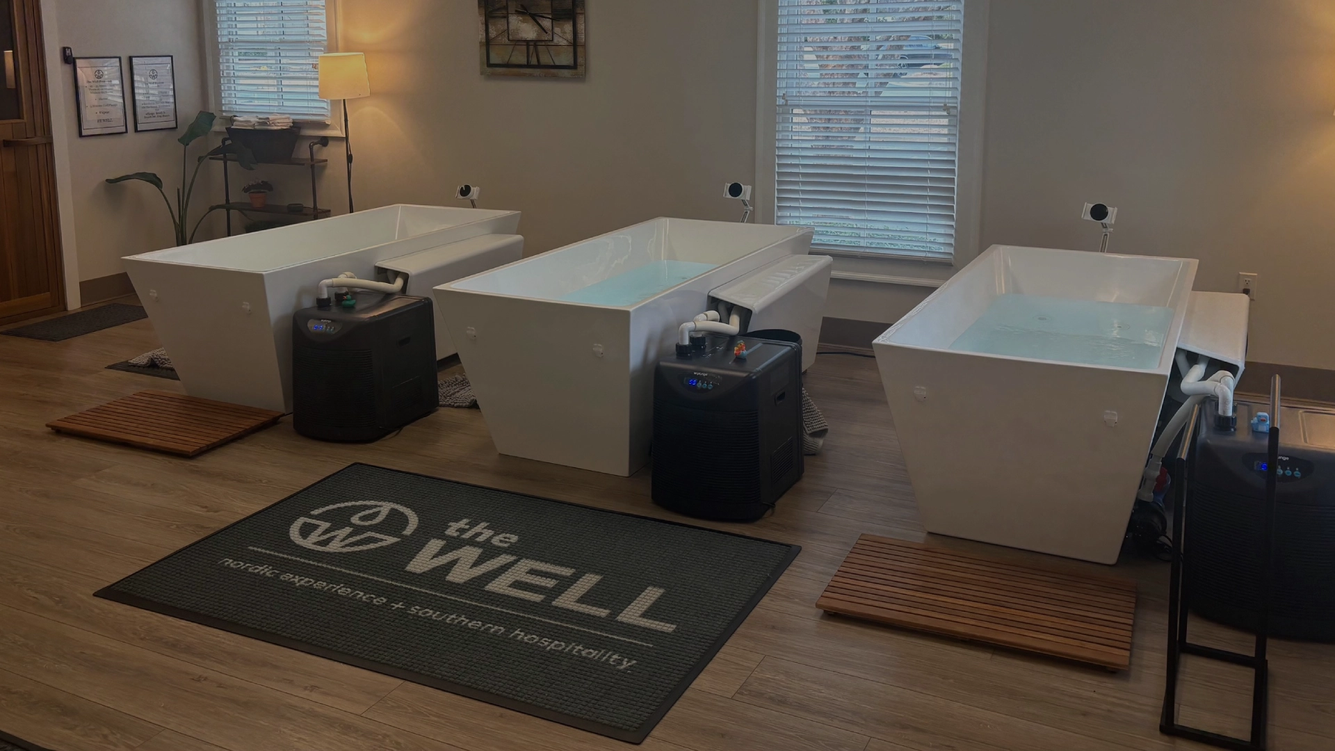 極希少/北欧メロディアス,AOR◆THE WELL/THE WELL The Well | Sauna/Cold Plunge In Greensboro, GA